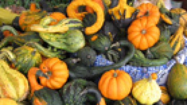 rendezvenyek-clip-image010-1474962131