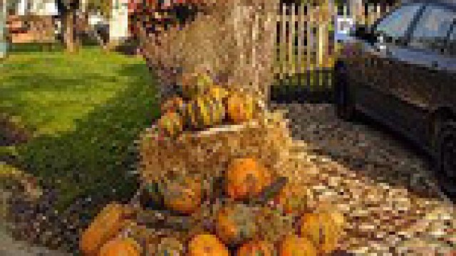 rendezvenyek-clip-image012-1474962131