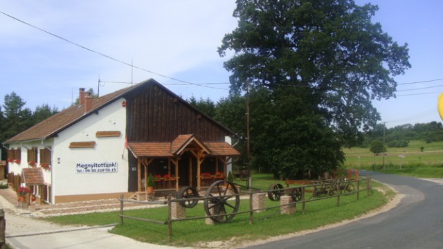 tolgyfa2-1474956482
