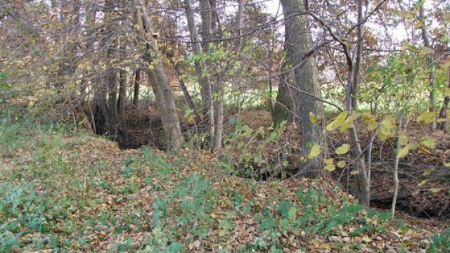 szala-patak2-1474956529